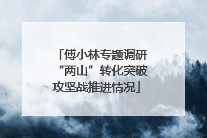 傅小林专题调研“两山”转化突破攻坚战推进情况