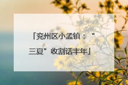 兖州区小孟镇：“三夏”收割话丰年