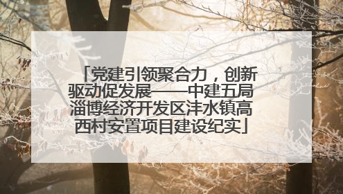 党建引领聚合力，创新驱动促发展——中建五局淄博经济开发区沣水镇高西村安置项目建设纪实