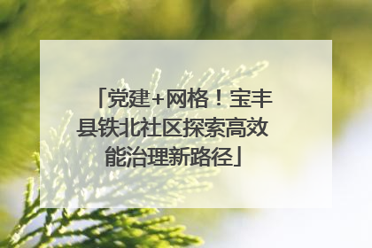党建+网格！宝丰县铁北社区探索高效能治理新路径