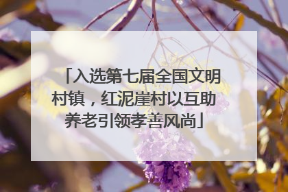 入选第七届全国文明村镇，红泥崖村以互助养老引领孝善风尚