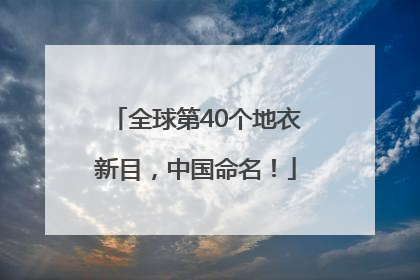 全球第40个地衣新目，中国命名！