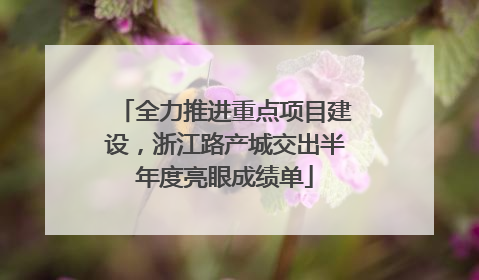 全力推进重点项目建设，浙江路产城交出半年度亮眼成绩单