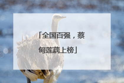 全国百强，蔡甸莲藕上榜