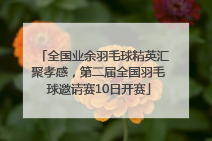 全国业余羽毛球精英汇聚孝感，第二届全国羽毛球邀请赛10日开赛