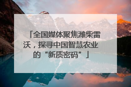 全国媒体聚焦潍柴雷沃，探寻中国智慧农业的“新质密码”