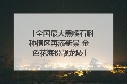 全国最大黑喉石斛种植区再添新景 金色花海扮靓龙陵