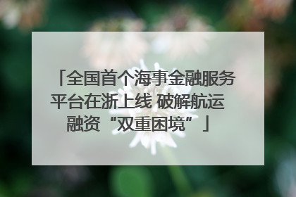 全国首个海事金融服务平台在浙上线 破解航运融资“双重困境”