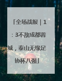 全场战报｜1：3不敌成都蓉城，泰山无缘足协杯八强