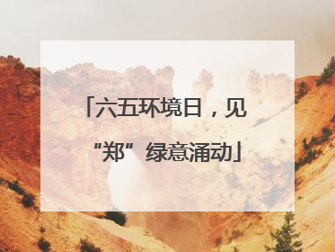六五环境日，见“郑”绿意涌动