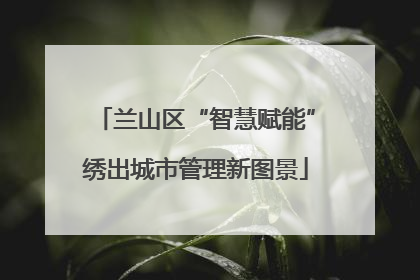 兰山区“智慧赋能”绣出城市管理新图景