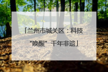 兰州市城关区：科技“唤醒”千年非遗