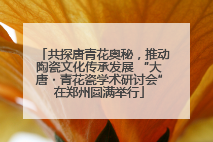 共探唐青花奥秘，推动陶瓷文化传承发展 “大唐・青花瓷学术研讨会”在郑州圆满举行