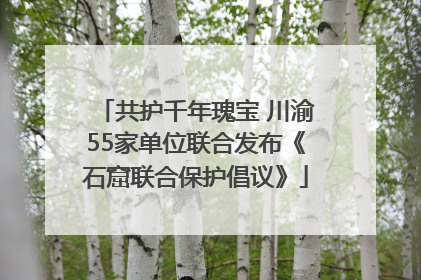 共护千年瑰宝 川渝55家单位联合发布《石窟联合保护倡议》