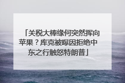 关税大棒缘何突然挥向苹果？库克被曝因拒绝中东之行触怒特朗普