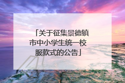 关于征集景德镇市中小学生统一校服款式的公告