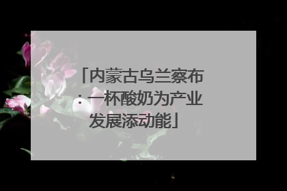 内蒙古乌兰察布：一杯酸奶为产业发展添动能
