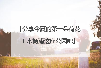 分享今夏的第一朵荷花！来杨浦这座公园吧