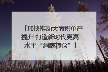 加快推动大面积单产提升 打造新时代更高水平“洞庭粮仓”