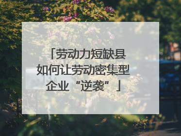 劳动力短缺县 如何让劳动密集型企业“逆袭”