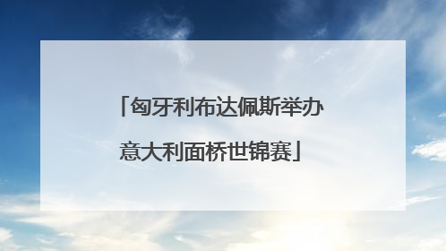 匈牙利布达佩斯举办意大利面桥世锦赛