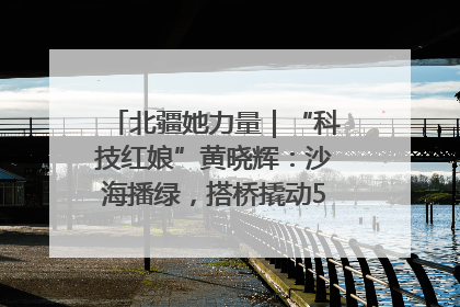 北疆她力量｜“科技红娘”黄晓辉：沙海播绿，搭桥撬动5.3亿研发