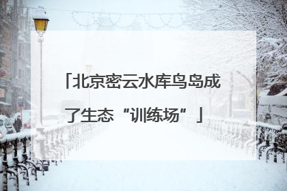 北京密云水库鸟岛成了生态“训练场”