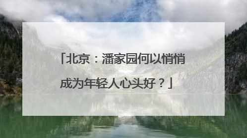 北京：潘家园何以悄悄成为年轻人心头好？