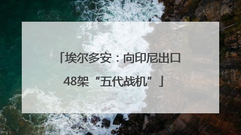 埃尔多安：向印尼出口48架“五代战机”