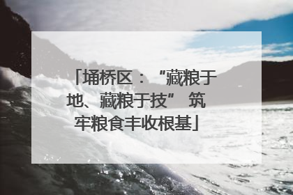 埇桥区：“藏粮于地、藏粮于技” 筑牢粮食丰收根基