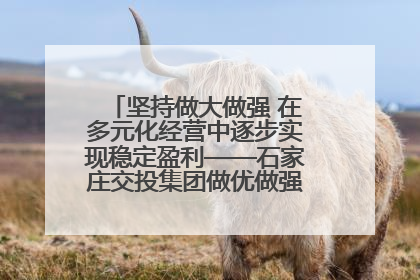 坚持做大做强 在多元化经营中逐步实现稳定盈利——石家庄交投集团做优做强典型报道之三