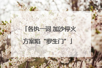 各执一词 加沙停火方案陷“罗生门”