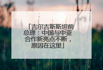 吉尔吉斯斯坦前总理：中国与中亚合作新亮点不断，原因在这里