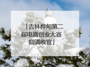 吉林桦甸第二届电商创业大赛圆满收官