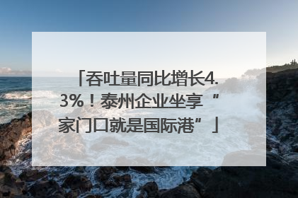 吞吐量同比增长4.3%！泰州企业坐享“家门口就是国际港”