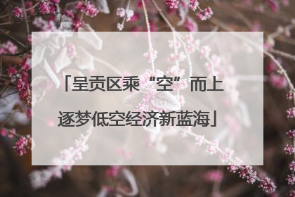 呈贡区乘“空”而上 逐梦低空经济新蓝海