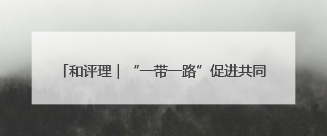 和评理｜“一带一路”促进共同发展 美国抹黑攻击酸味十足