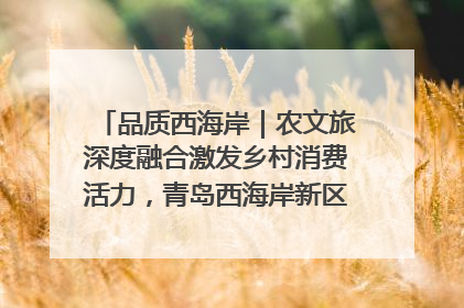品质西海岸｜农文旅深度融合激发乡村消费活力，青岛西海岸新区的乡村振兴实践