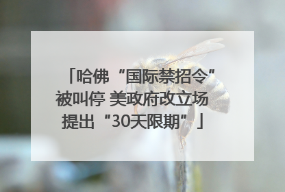 哈佛“国际禁招令”被叫停 美政府改立场提出“30天限期”