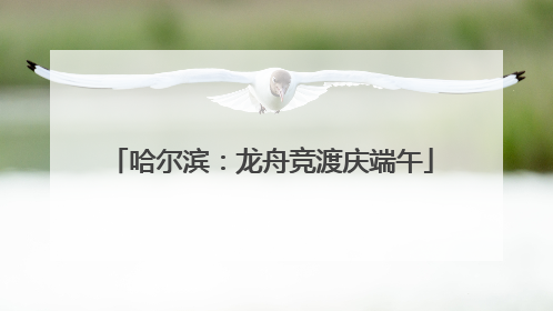 哈尔滨：龙舟竞渡庆端午