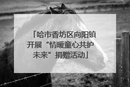 哈市香坊区向阳镇开展“情暖童心共护未来”捐赠活动
