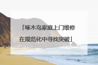 啄木鸟家庭上门维修在规范化中寻找突破
