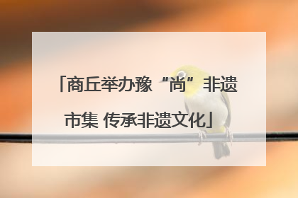 商丘举办豫“尚”非遗市集 传承非遗文化
