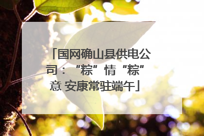 国网确山县供电公司：“粽”情“粽”意 安康常驻端午