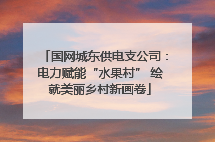 国网城东供电支公司：电力赋能“水果村” 绘就美丽乡村新画卷