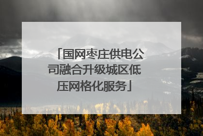 国网枣庄供电公司融合升级城区低压网格化服务