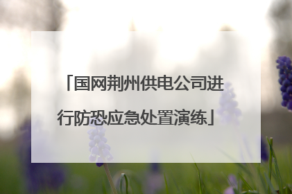 国网荆州供电公司进行防恐应急处置演练