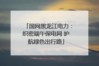 国网黑龙江电力：织密端午保电网 护航绿色出行路