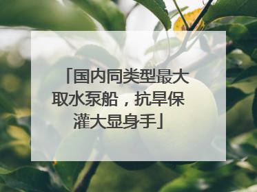 国内同类型最大取水泵船，抗旱保灌大显身手