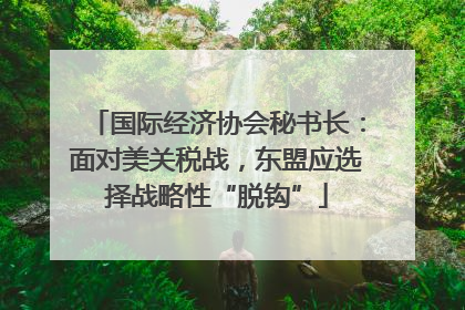 国际经济协会秘书长：面对美关税战，东盟应选择战略性“脱钩”